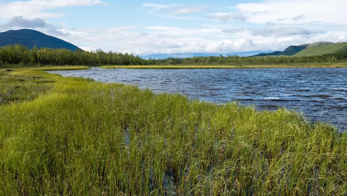 5. Stor-Rensjön - 140 meter